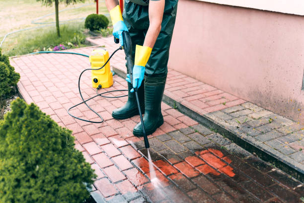 Best Fence Cleaning  in Clear Lake, SD